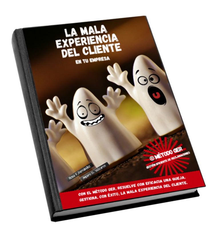 Ebook GER Experience